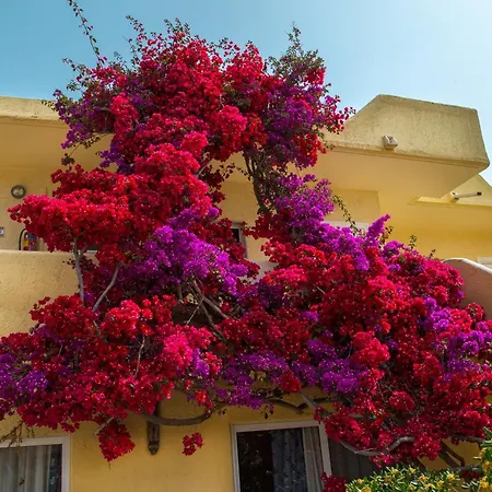 Hotel Eurovillage Achilleas Mastichari (Kos)