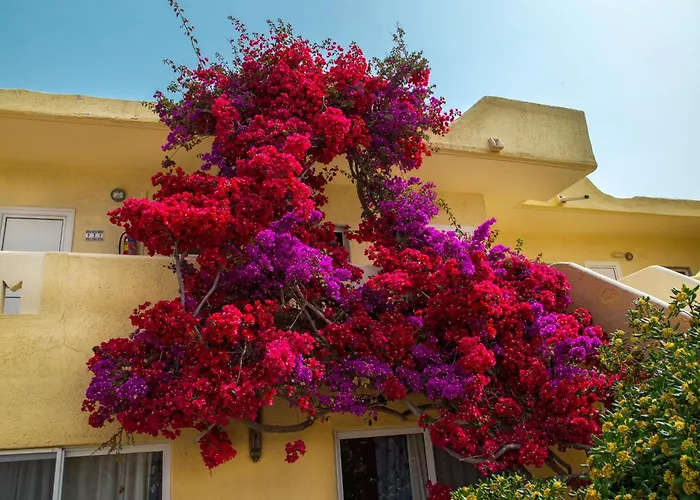 Hotel Eurovillage Achilleas Mastichari (Kos)